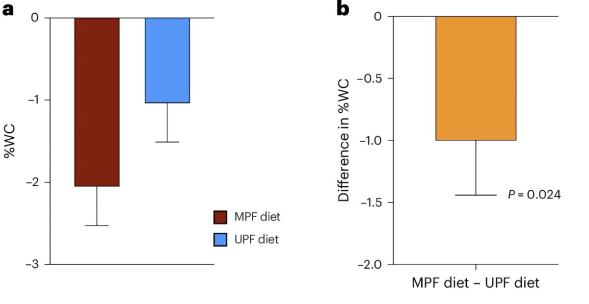 השינוי באחוז היקף המותניים בין שתי קבוצות המחקר