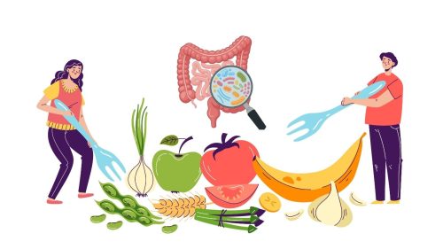 תזונה ים תיכונית מופחתת קלוריות, מיקרוביום ומדדים קרדיומטבוליים