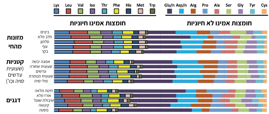 גרף עמודות המציג את פרופיל חומצות אמינו של מקורות עיקריים לחלבון מהחי ומהצומח מתוך Gardner, 2019. 