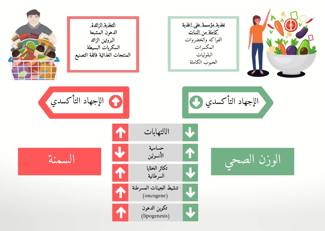العلاقة بين الإفراط في تناول الطعام، السمنة، الضغط التأكسدي (oxidative stress) والحالات الصحية المختلفة معقدة إلى حد كبير. يركز الرسم على الجوانب الرئيسية ويستند إلى رسم توضيحي من مقالة مراجعة   Bee Ling Tan et al (2018)