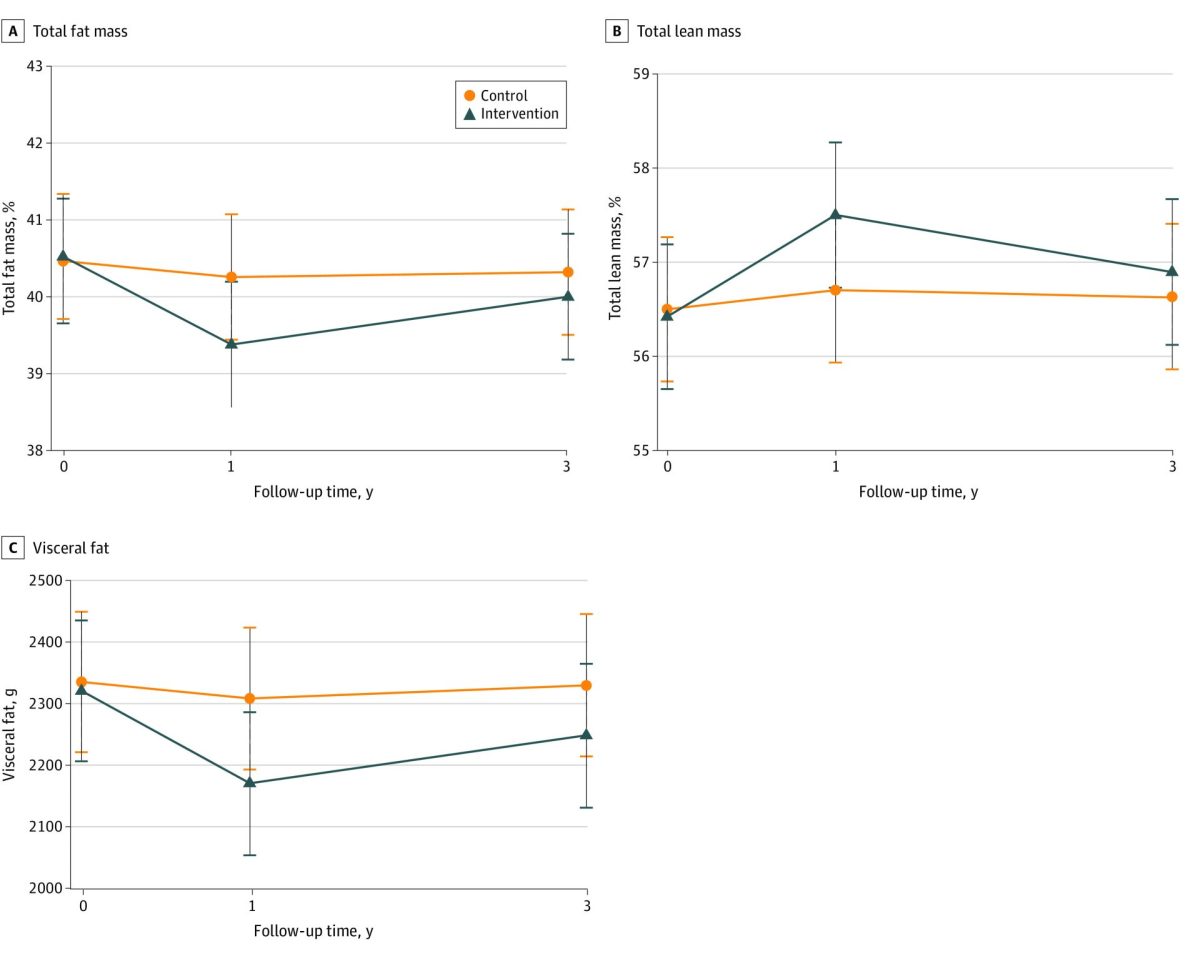 Figure. Adjusted Means of Body Composition Parameters Through Follow-Up by Study Arm