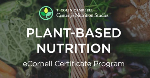 plant based nutrition certificate ecornell