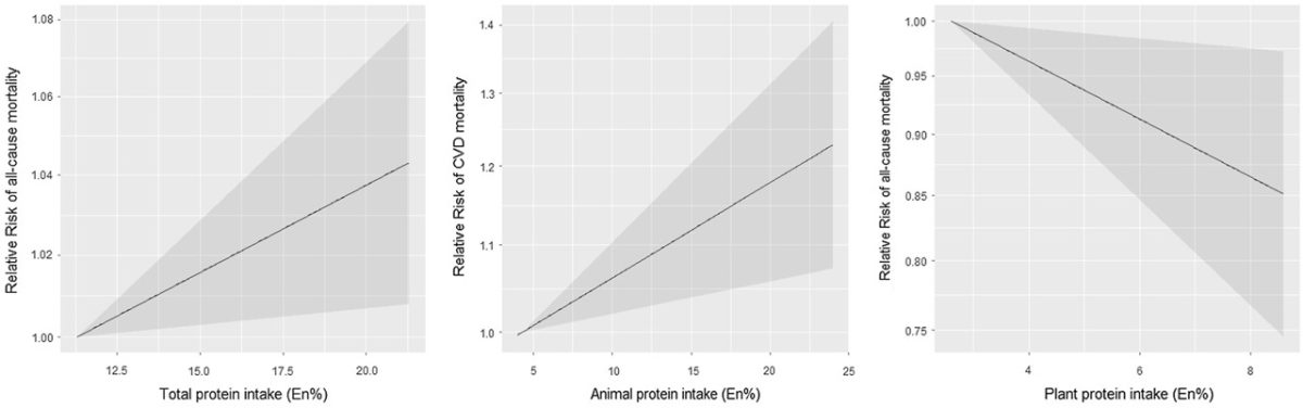 כיצד מקור חלבון עשוי להשפיע על הבריאות