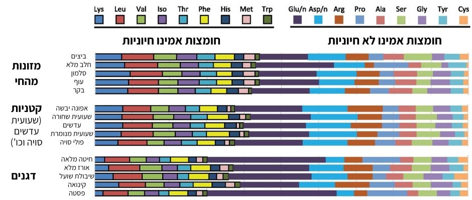 חומצות אמינו במקורות חלבון מהחי לעומת מקורות חלבון מהצומח
