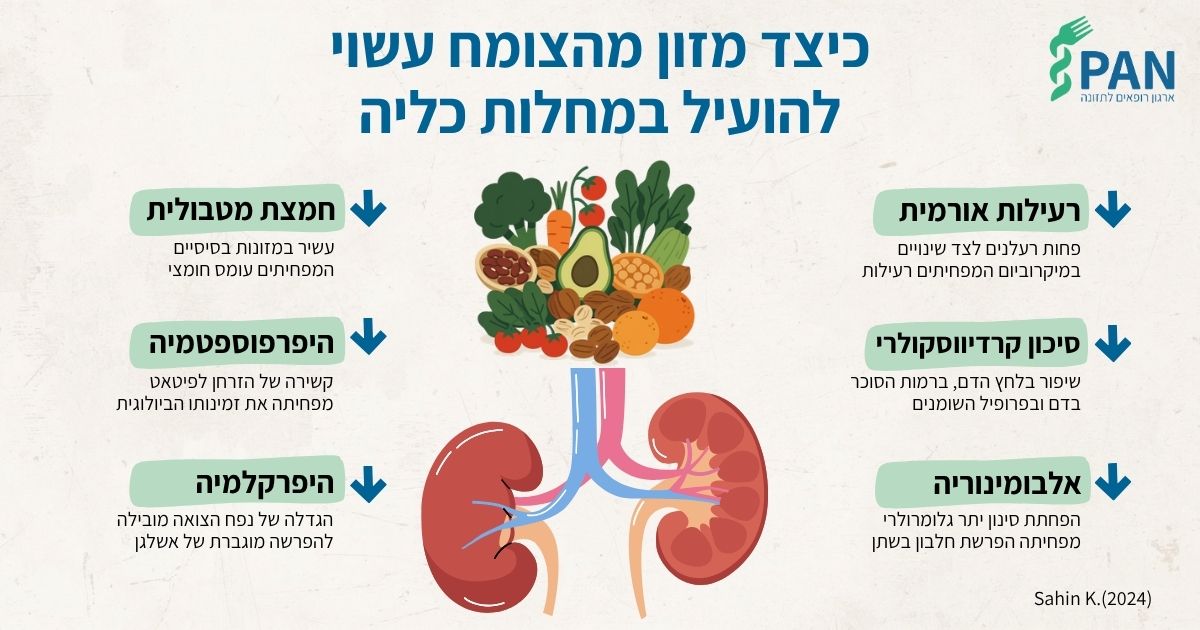 כיצד מזון מהצומח מפחית סיבוכים במחלות כליה